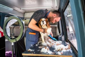 View of Dog Grooming Business Legislation | Protectivity