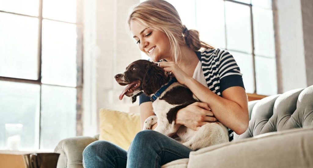 Starting A Pet Sitting Business Image