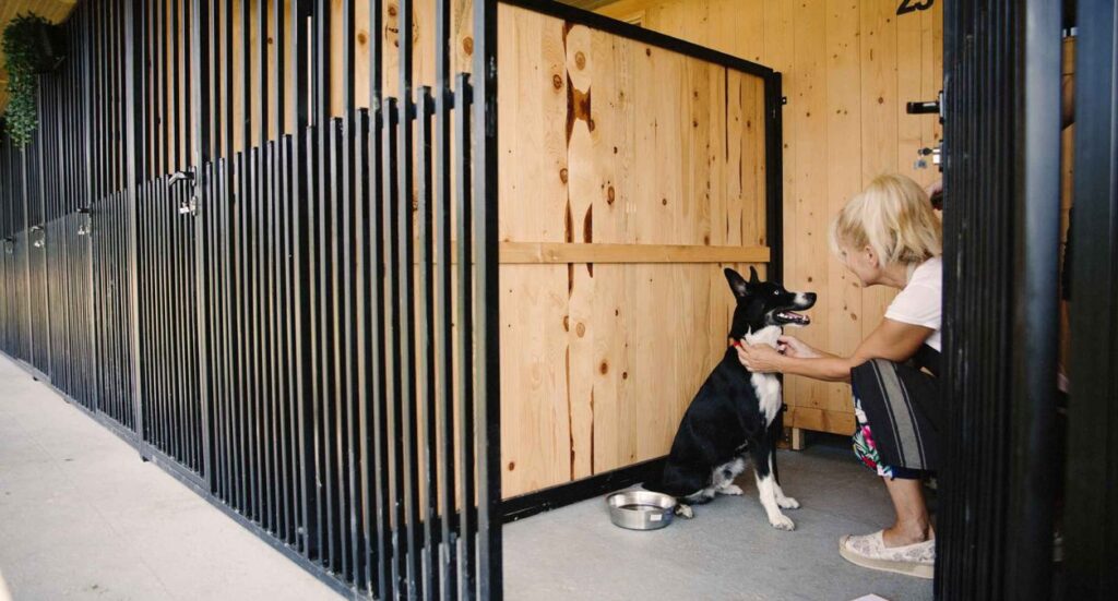 What is the Most Profitable Pet Business? Image