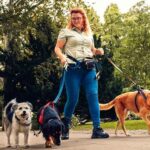 Dog theft in the UK: Awareness for dog walkers Image