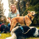 Pet Behaviour and Psychology for Pet Care Providers Image